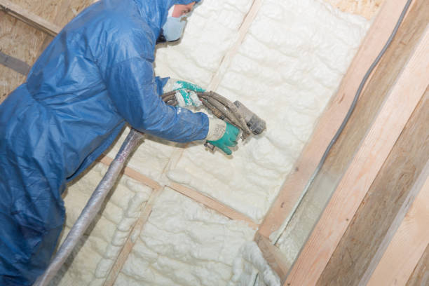 Best Radiant Barrier Insulation  in Oceana, WV